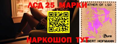 гидропоника Новокубанск
