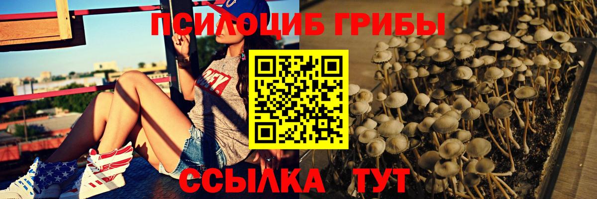 Псилоцибиновые грибы ЛСД  Вход с VPN  Славянск-на-Кубани 