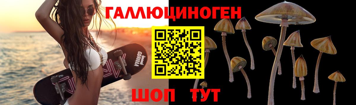 Псилоцибиновые грибы мухоморы Славянск-на-Кубани